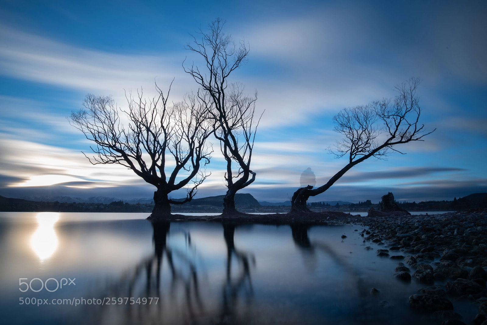 Nikon D750 sample photo. 3 trees photography