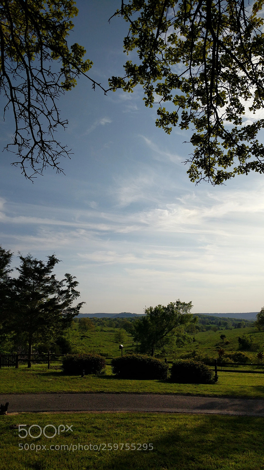 Google Pixel sample photo. Arkansas afternoon photography