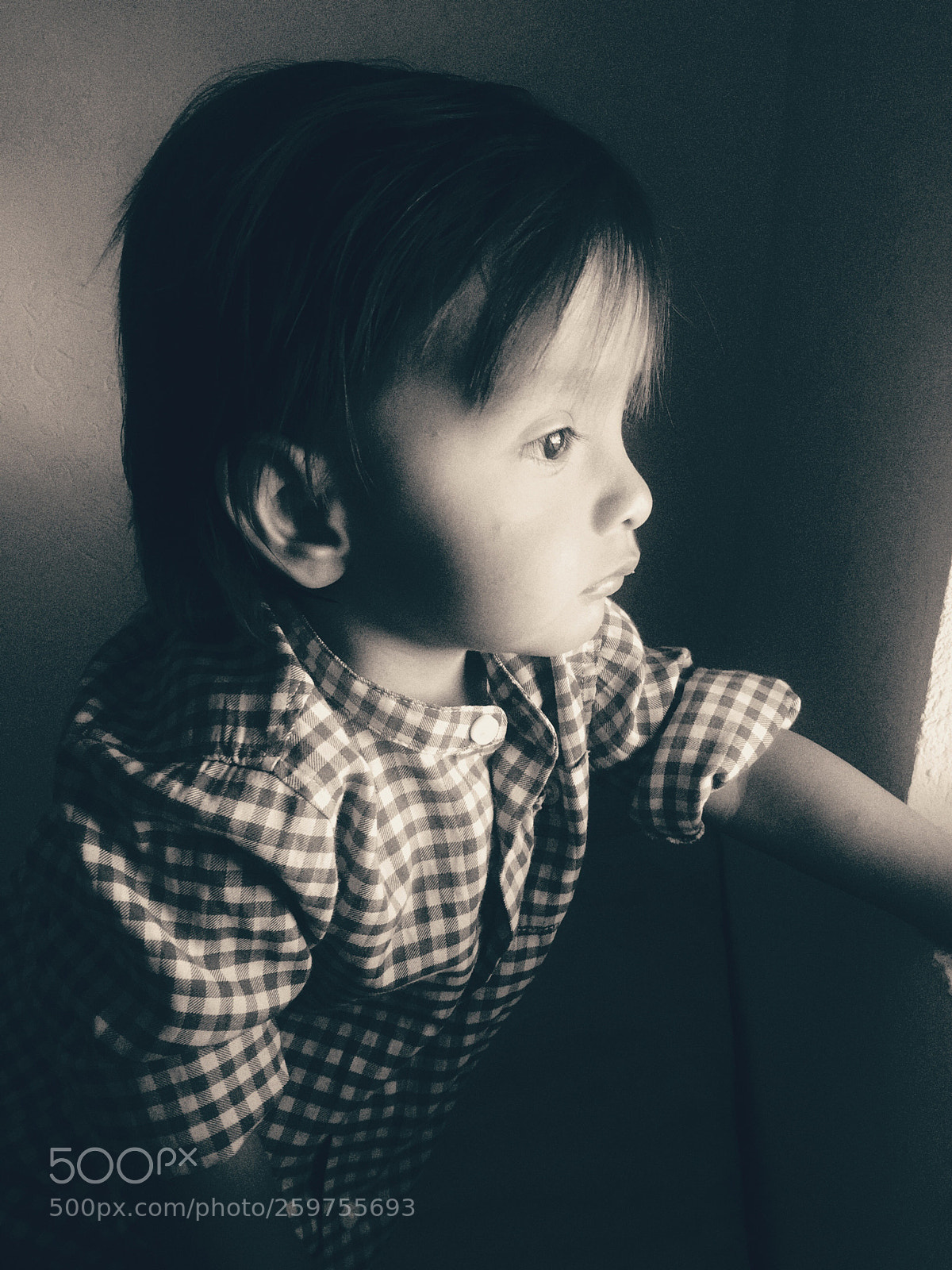 Apple iPhone 6 sample photo. Arjuna photography