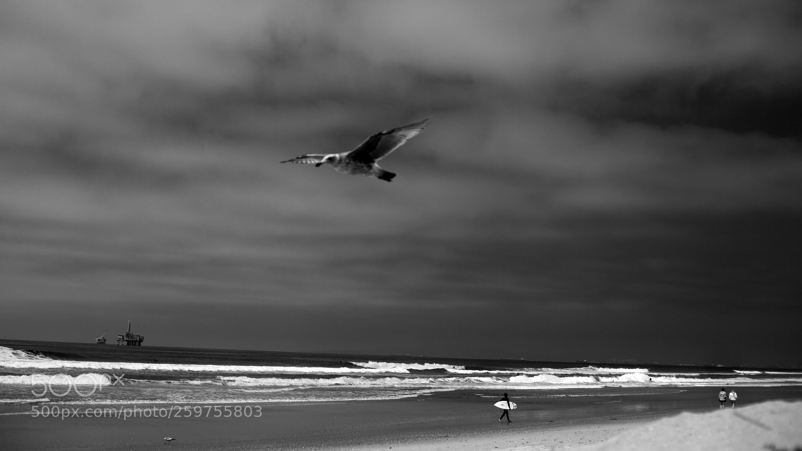 Canon EOS 5D Mark II sample photo. Beach scene photography
