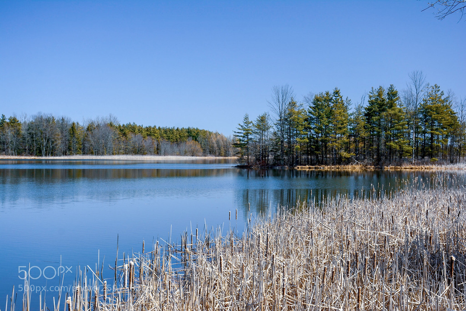 Nikon D7100 sample photo. Untitled photography