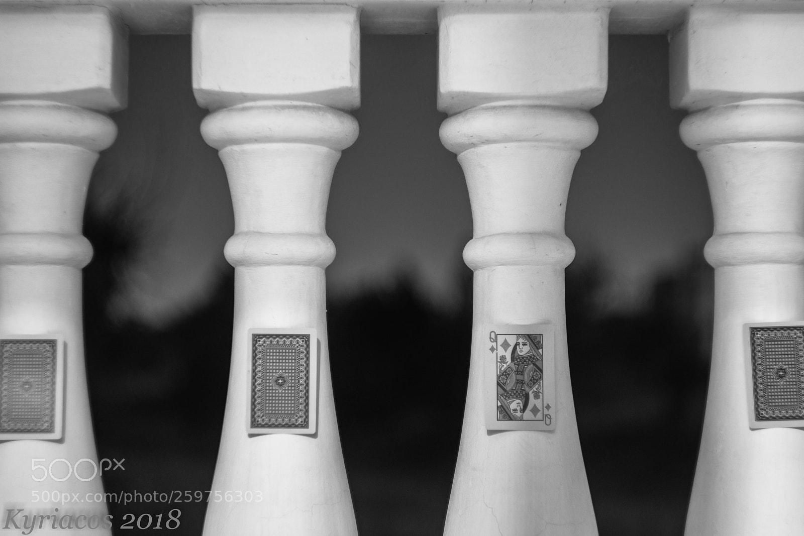 Nikon D7200 sample photo. Queen of diamonds photography