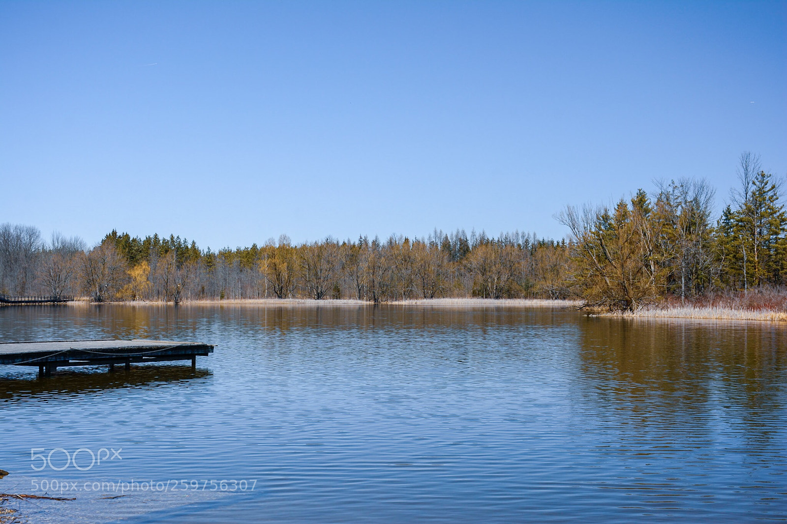 Nikon D7100 sample photo. Untitled photography