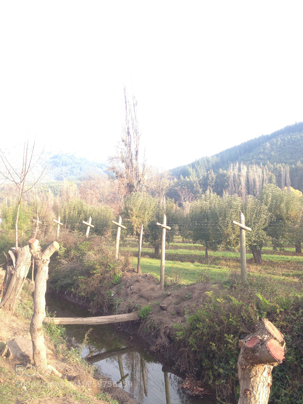 Apple iPhone 5 sample photo. Untitled photography