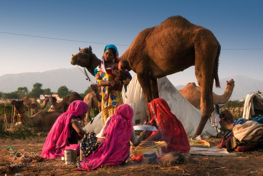 Sony a7R sample photo. Pushkar mela. rajasthan photography