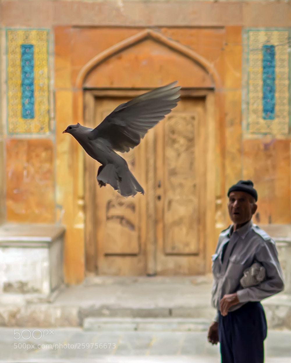 Nikon D7100 sample photo. Moment of flight photography