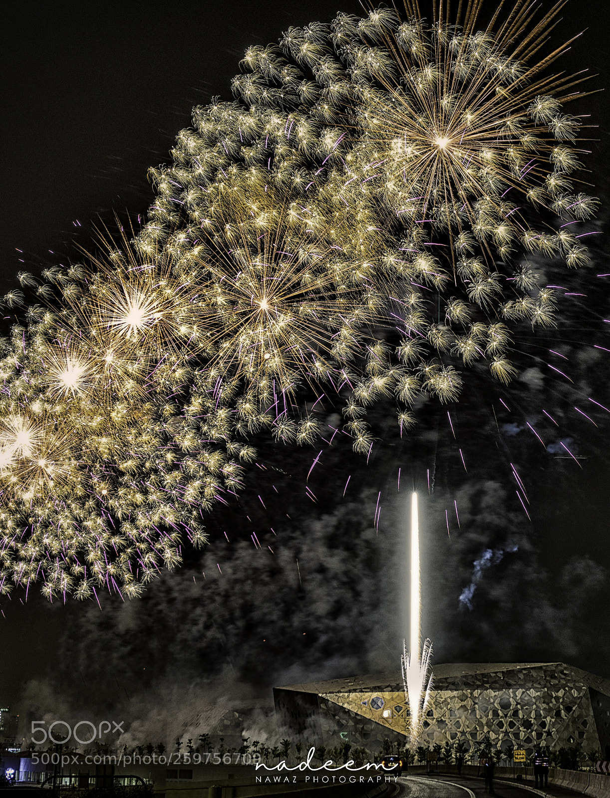 Nikon D810 sample photo. Cultural center opening photography