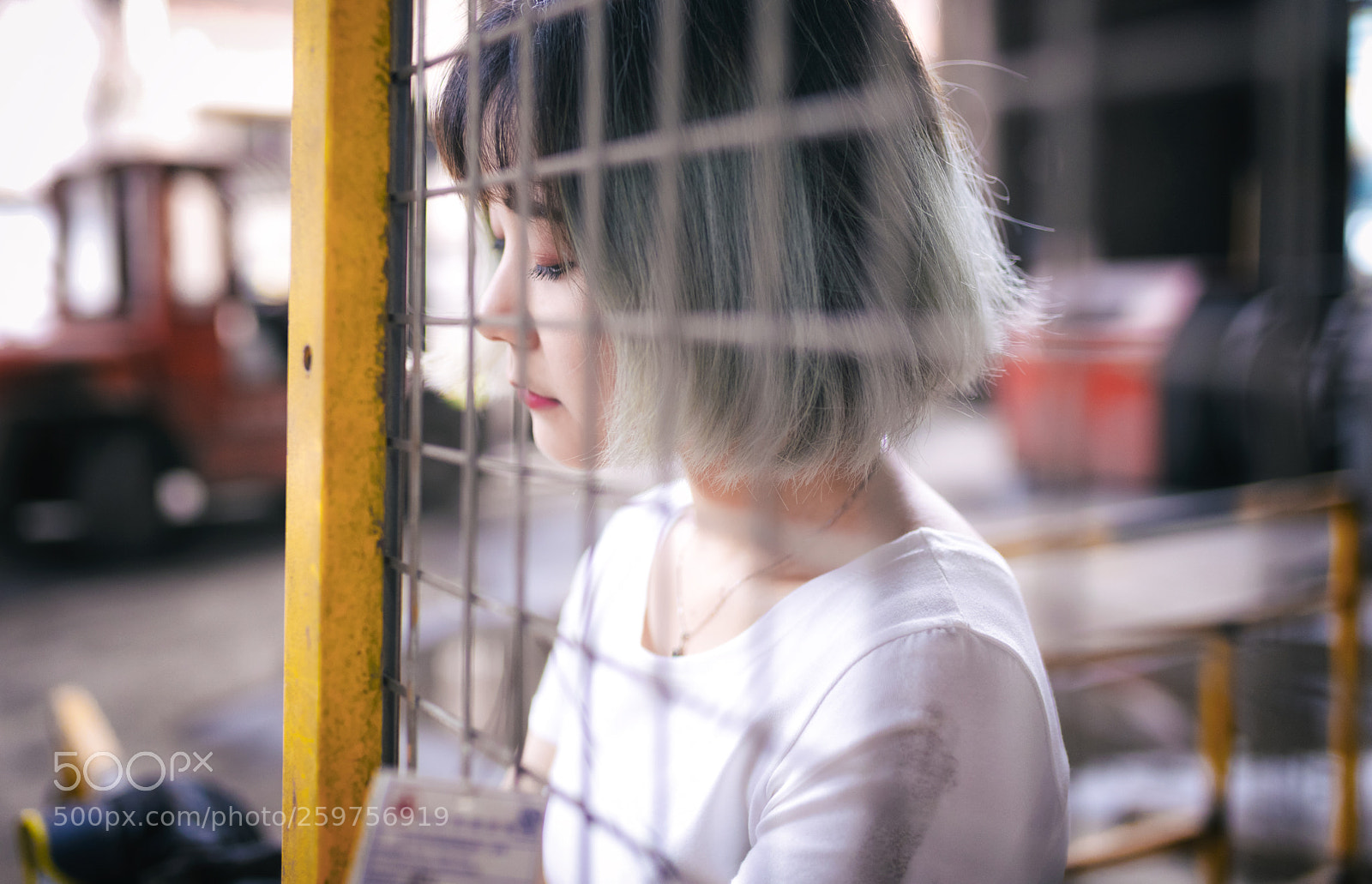 Canon EOS 6D Mark II sample photo. The illusion of the photography