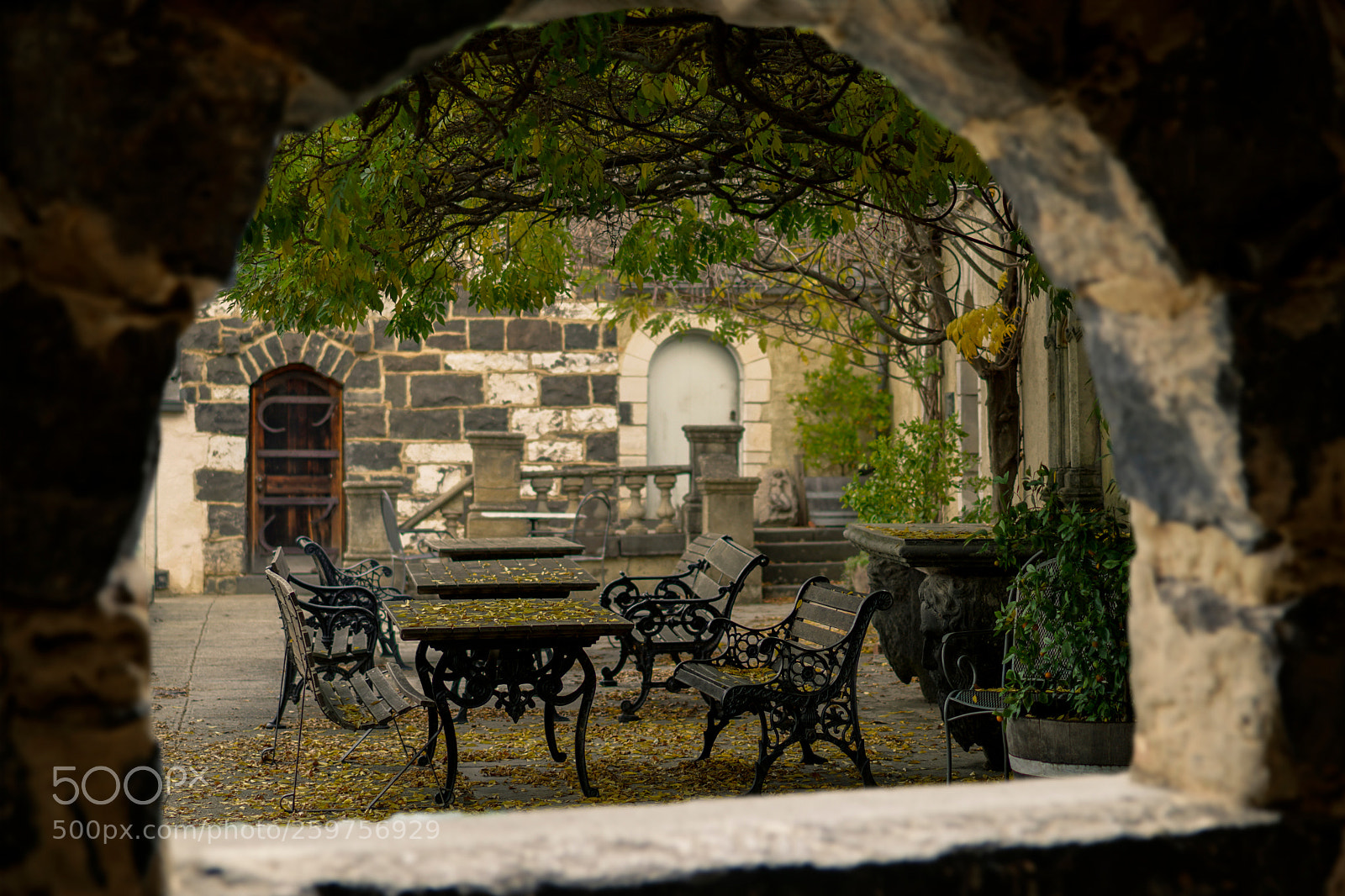 Sony a6500 sample photo. Relax zone through the photography