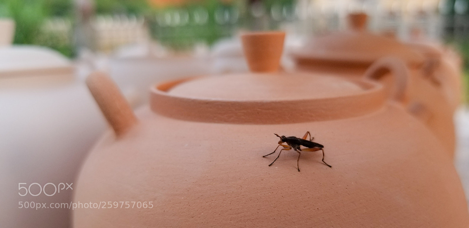 Samsung Galaxy S8 sample photo. Untitled photography