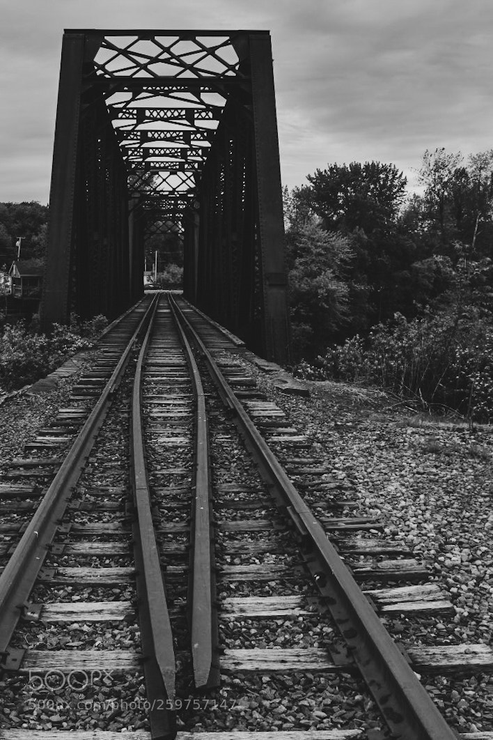 Nikon D5500 sample photo. Bridge photography