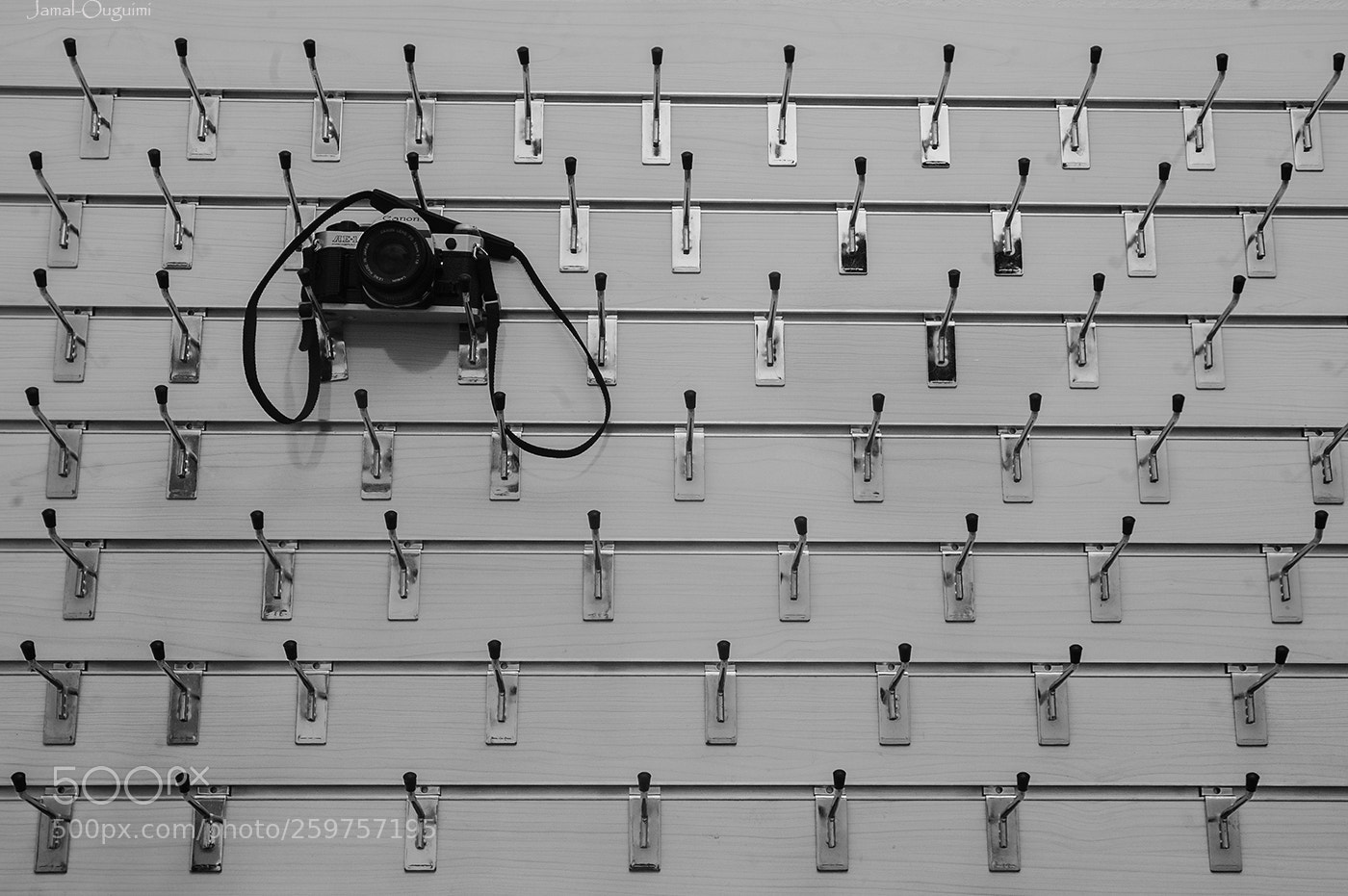 Nikon D700 sample photo. Pattern photography