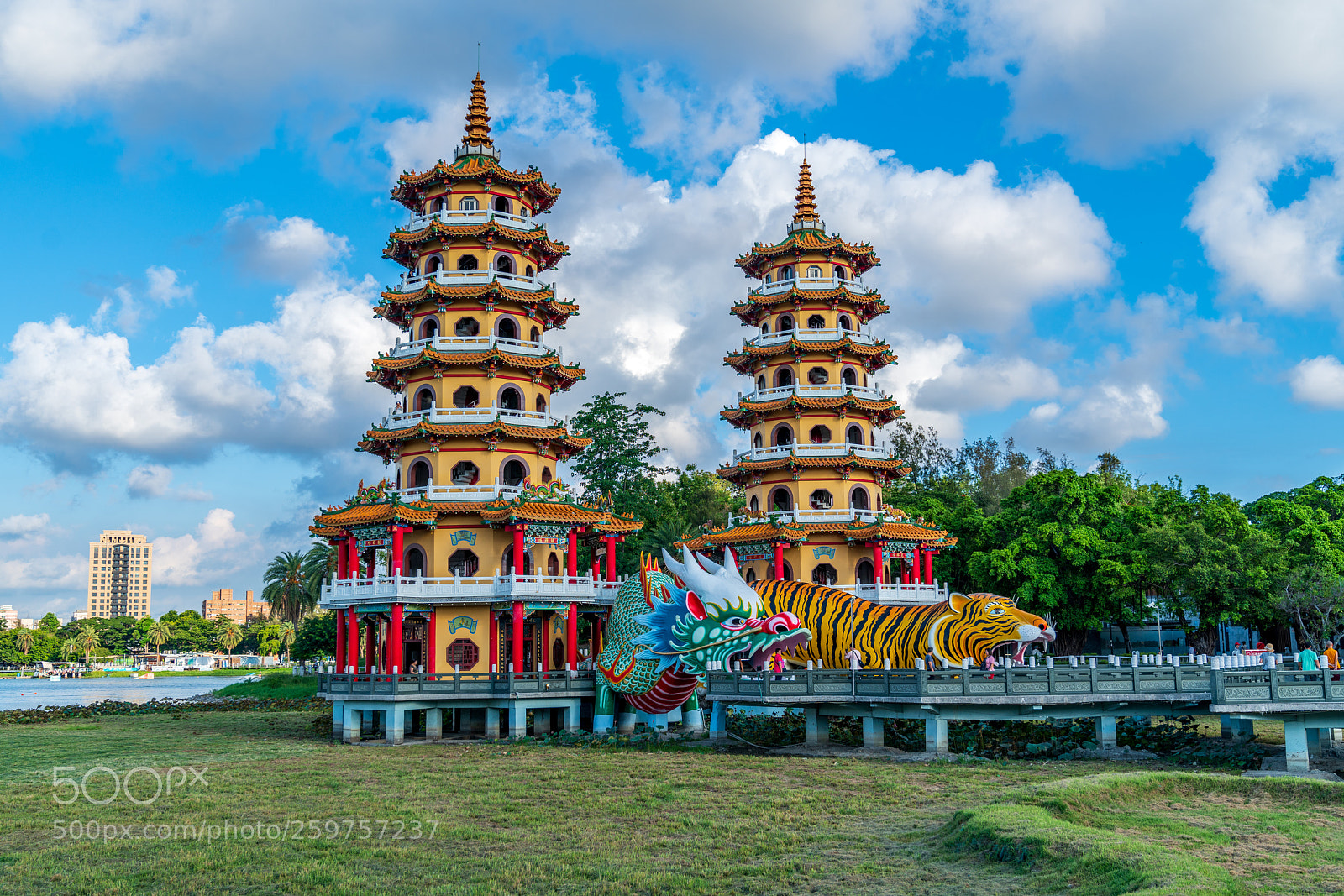 Sony a7R III sample photo. Dragon and tiger pagoda photography