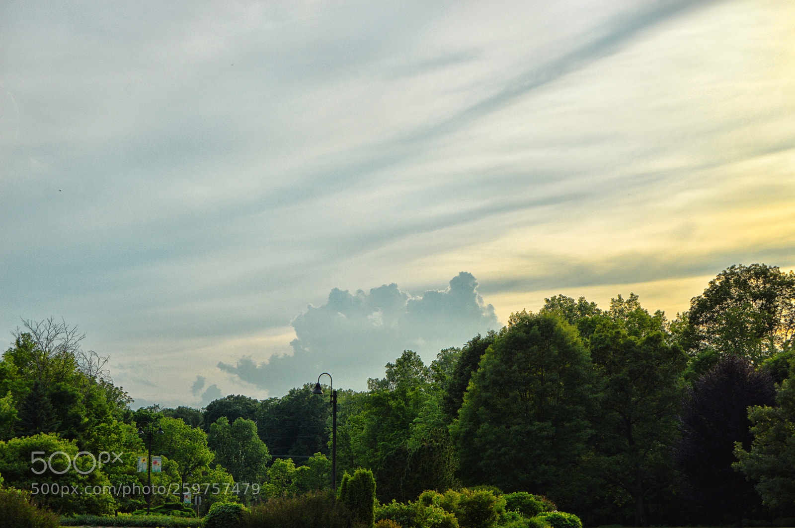 Nikon D3200 sample photo. Cloud rising photography