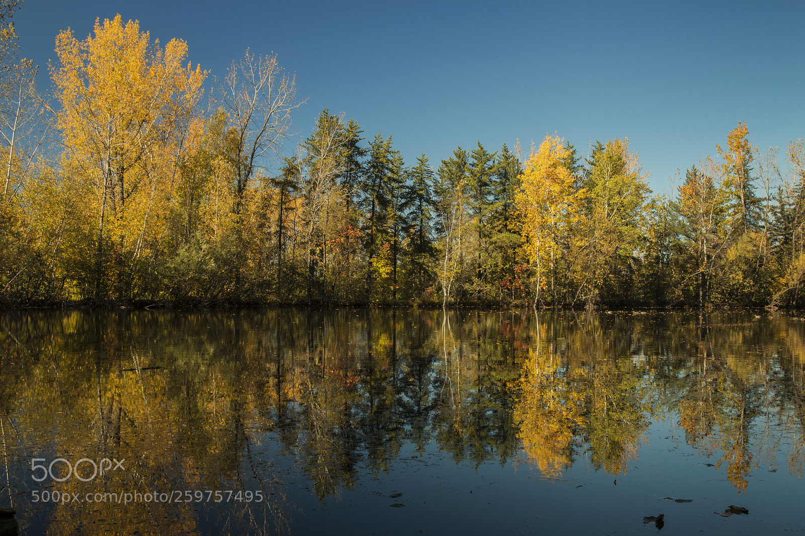Canon EOS 70D sample photo. Autumn walk at mt photography