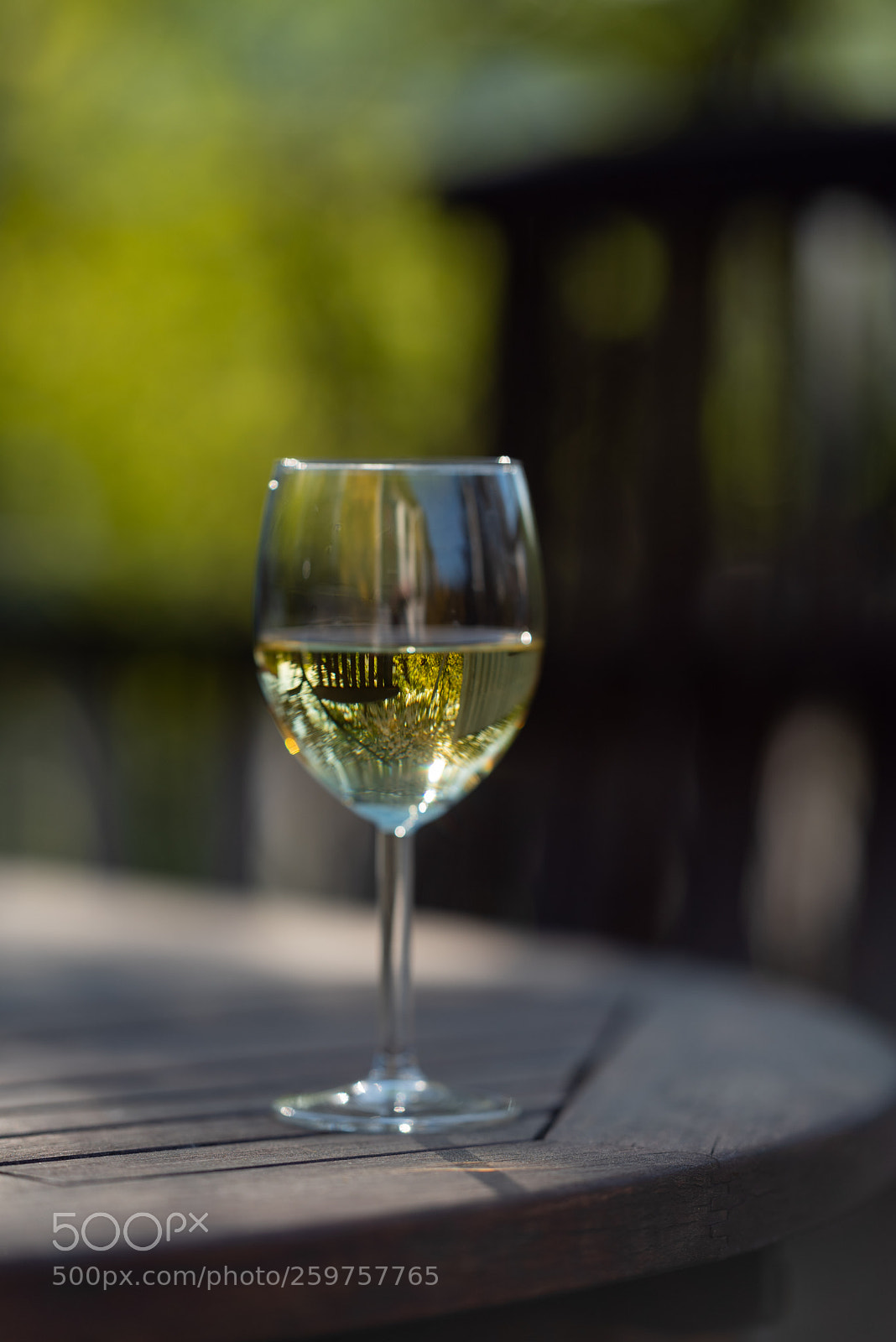 Nikon D750 sample photo. A glass of riesling photography