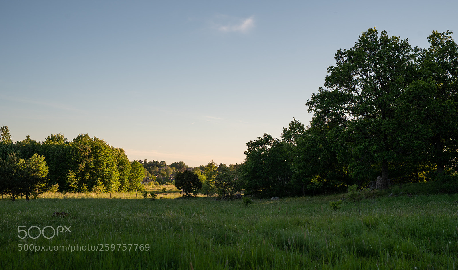 Nikon D750 sample photo. Summer landscape photography