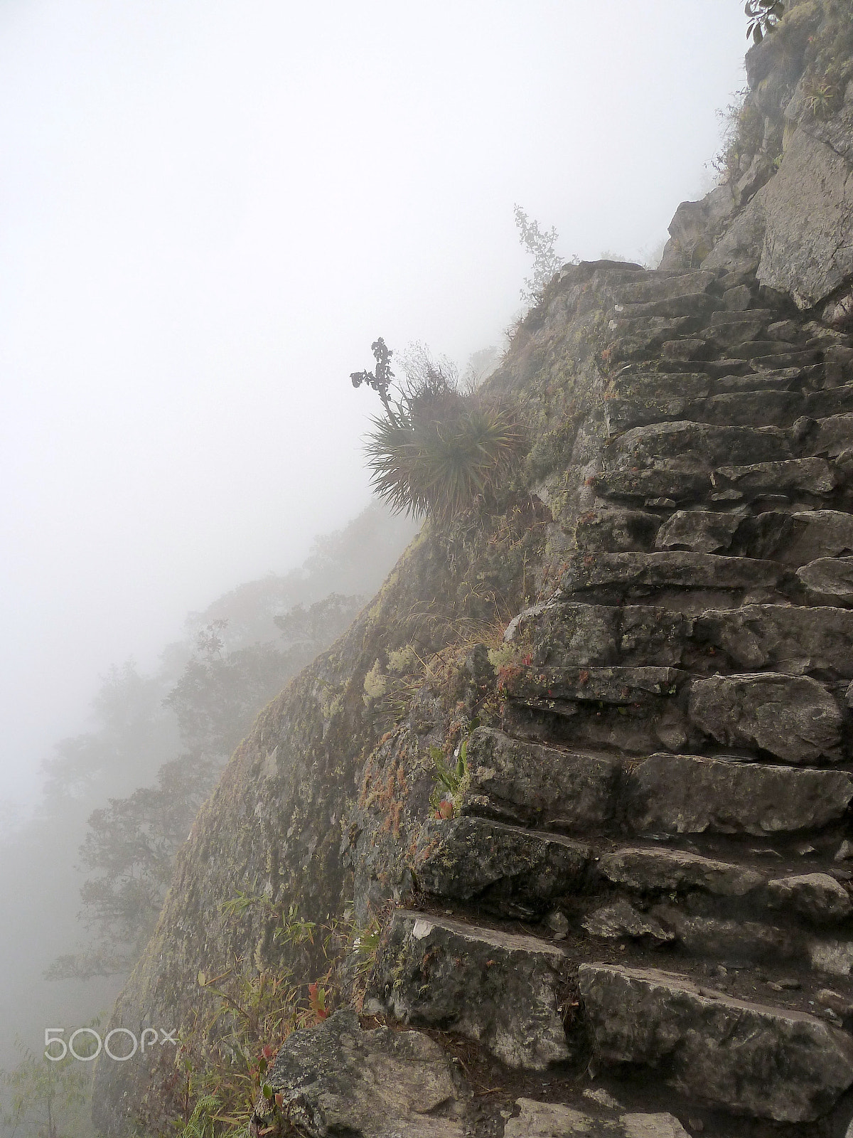 Panasonic Lumix DMC-ZS7 (Lumix DMC-TZ10) sample photo. Stairway to the clouds photography