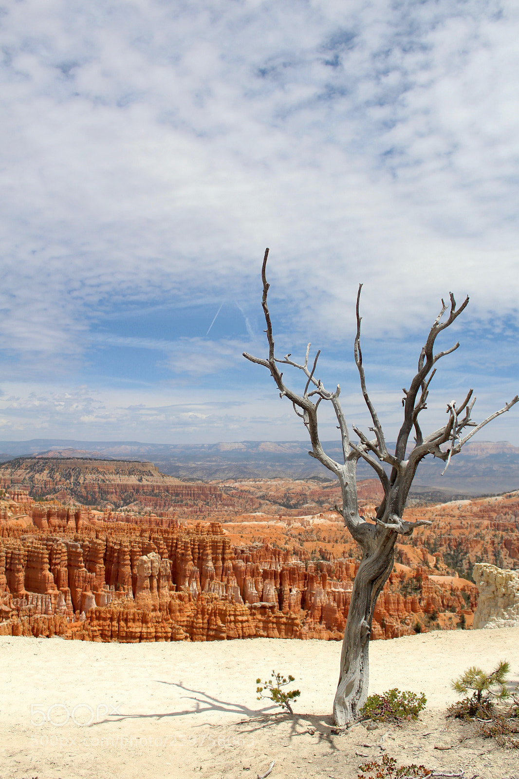 Canon EOS 1300D (EOS Rebel T6 / EOS Kiss X80) sample photo. Overlook at bryce canyon photography