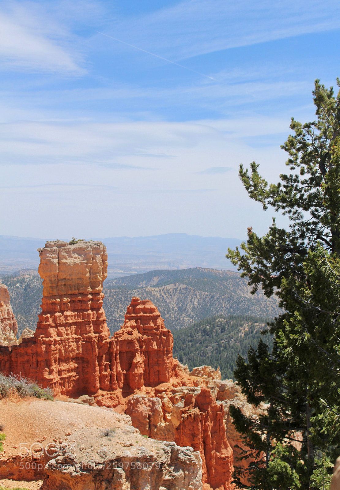Canon EOS 1300D (EOS Rebel T6 / EOS Kiss X80) sample photo. Bryce canyon photography