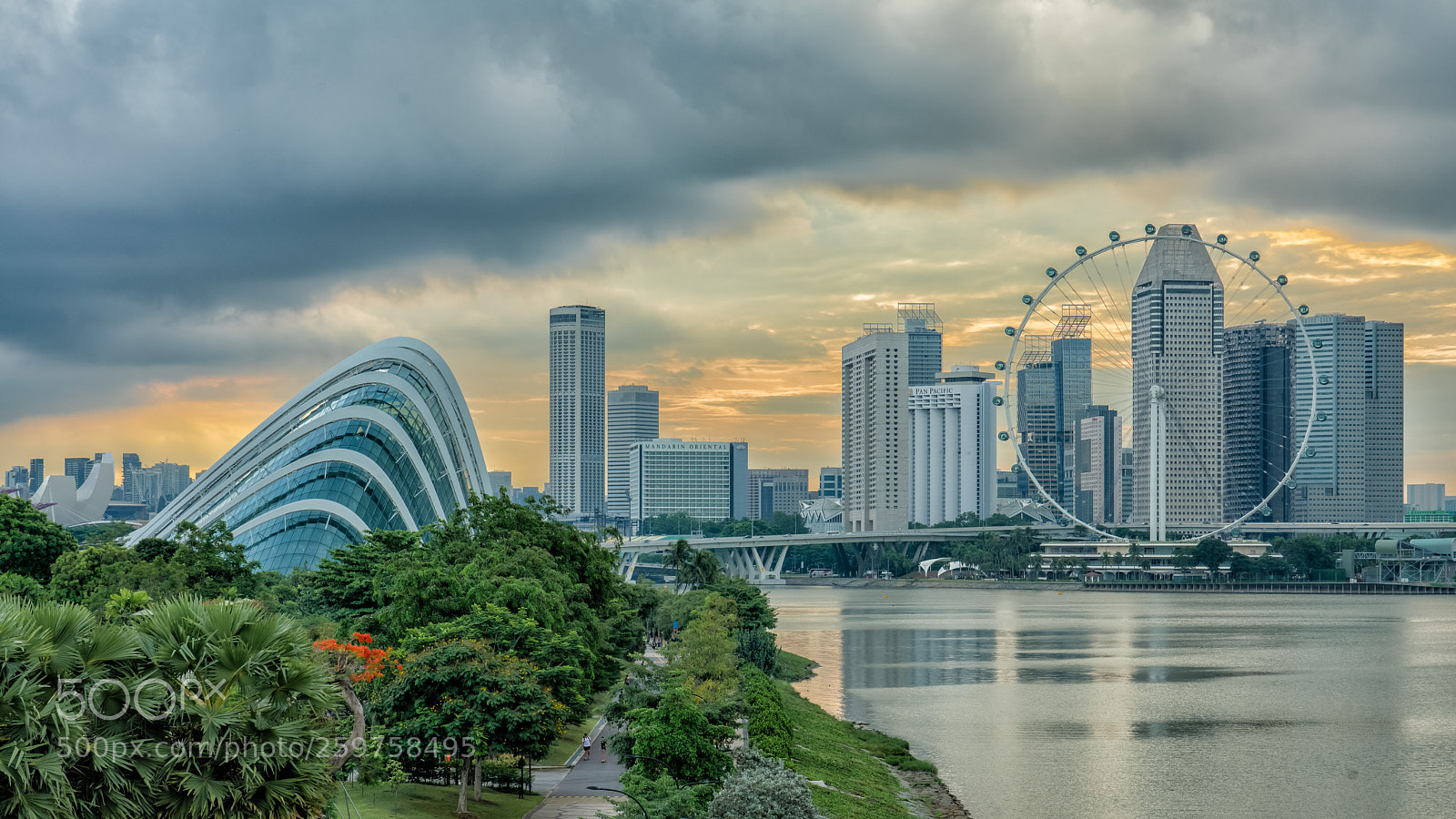 Sony a7R II sample photo. Gardens by the bay photography