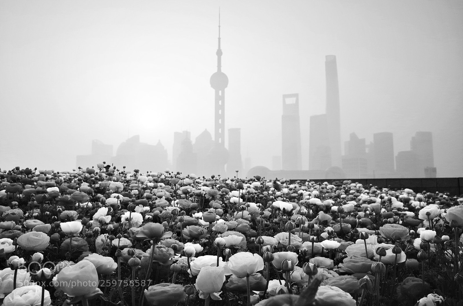 Ricoh GR II sample photo. Shanghai, china photography
