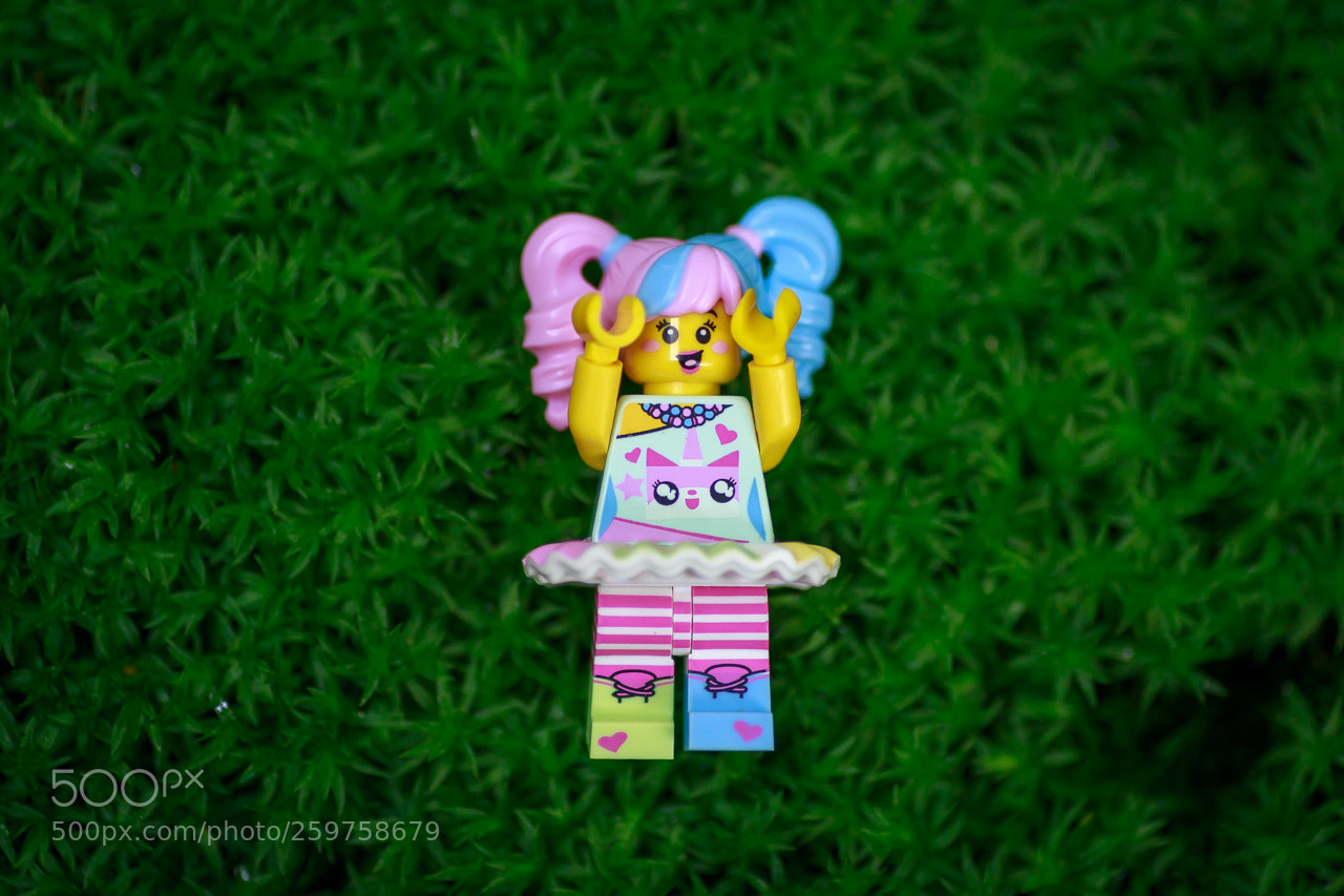 Canon EOS 6D sample photo. Relax photography