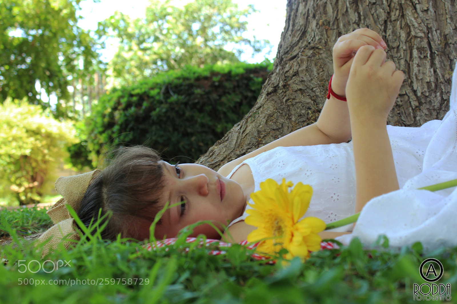 Canon EOS 1200D (EOS Rebel T5 / EOS Kiss X70 / EOS Hi) sample photo. Nena photography