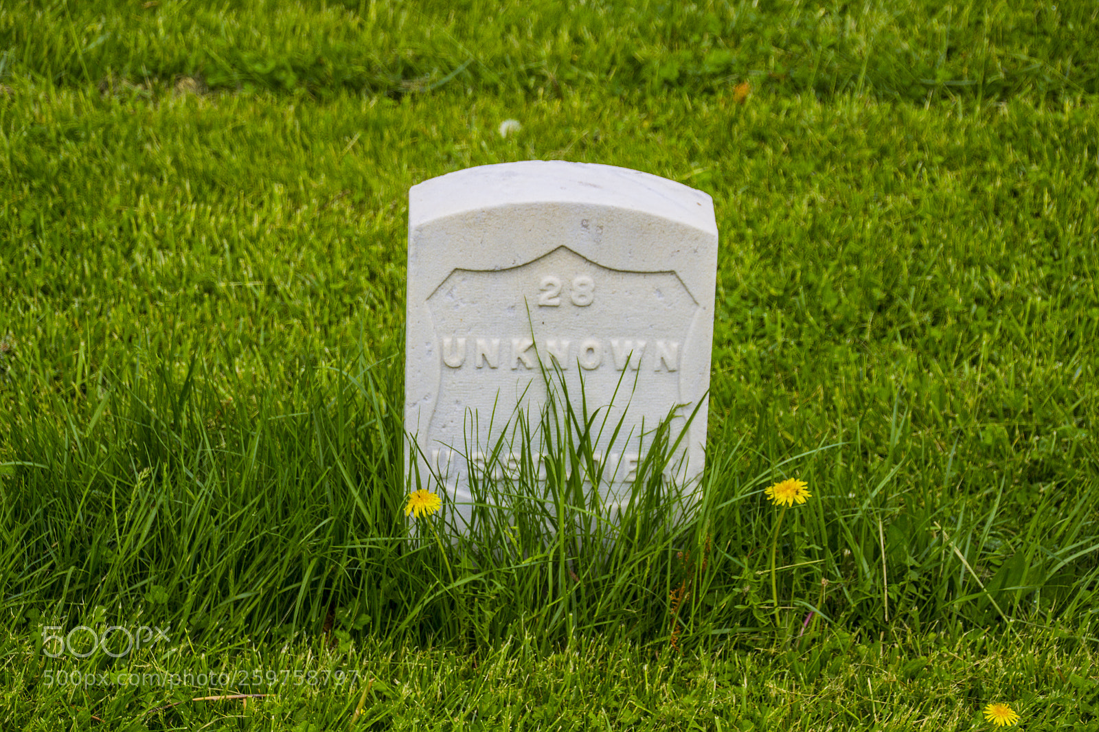 Canon EOS 600D (Rebel EOS T3i / EOS Kiss X5) sample photo. Gettysburg cemetery 2 photography