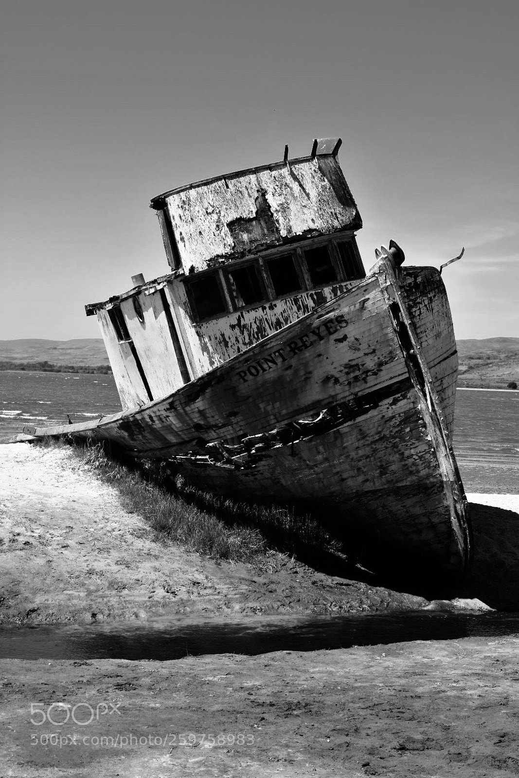 Nikon D3400 sample photo. Run aground photography