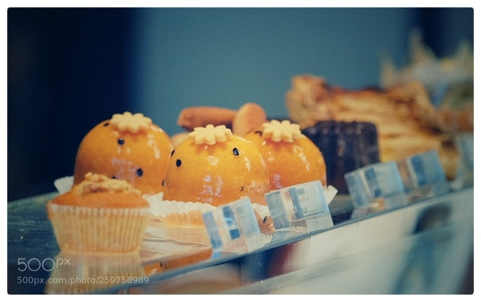 Fujifilm X-T2 sample photo. Untitled photography