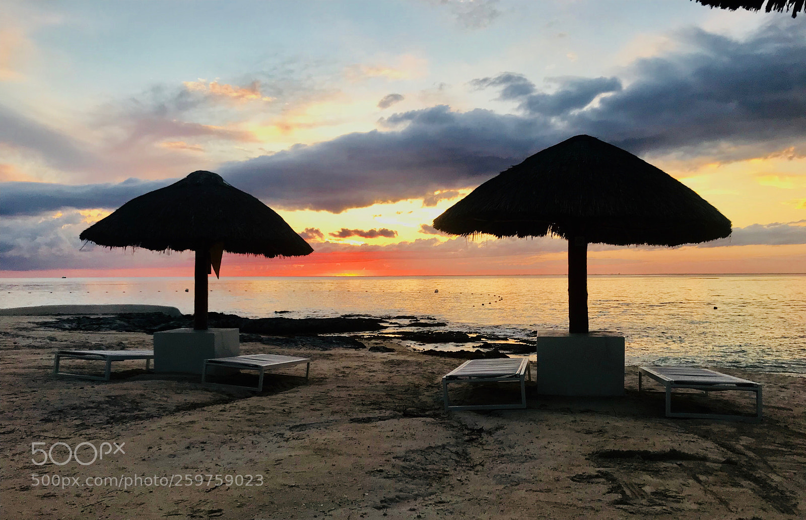 Apple iPhone 7 sample photo. A pair in paradise  photography