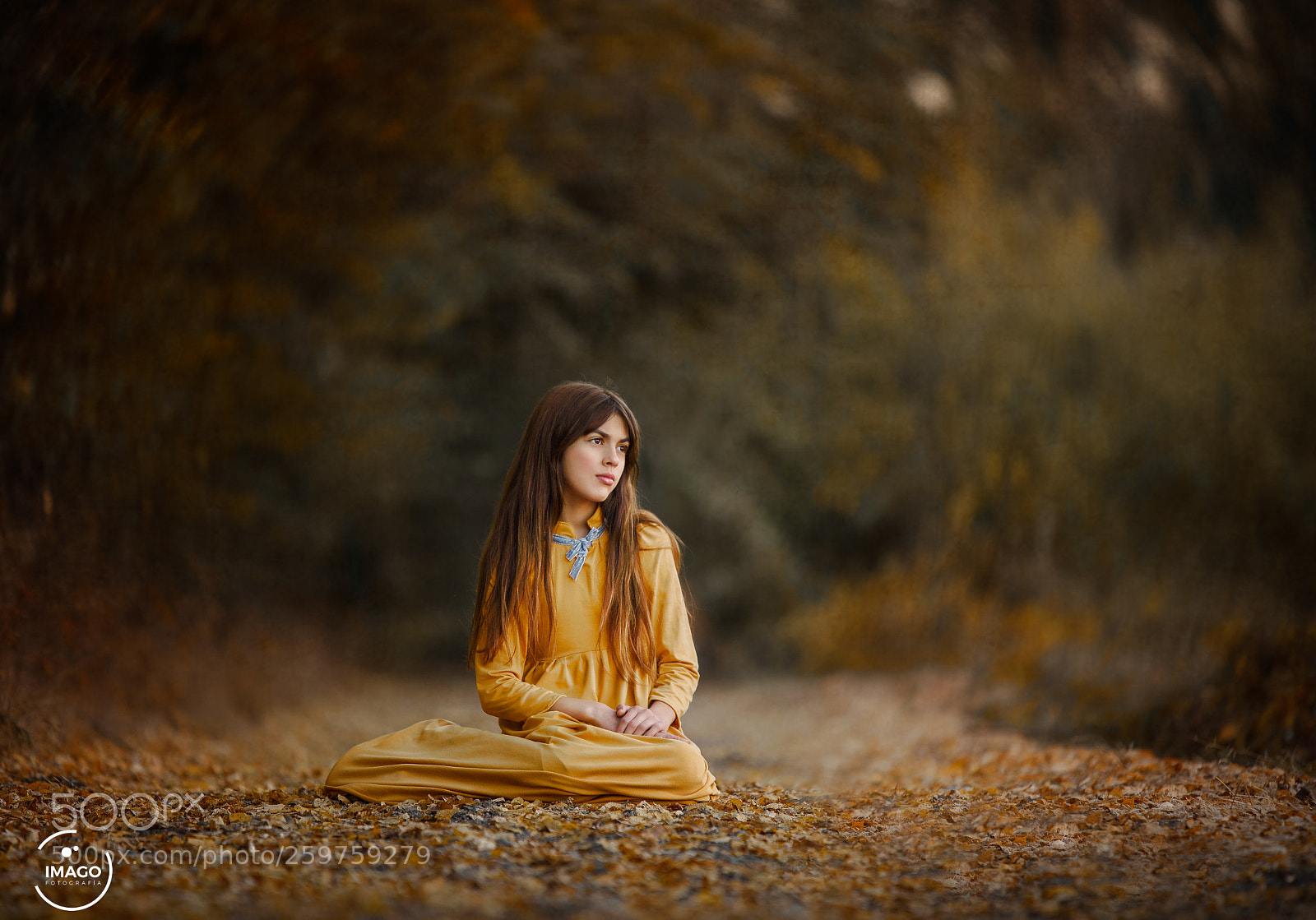 Nikon D750 sample photo. Autumn in chile photography