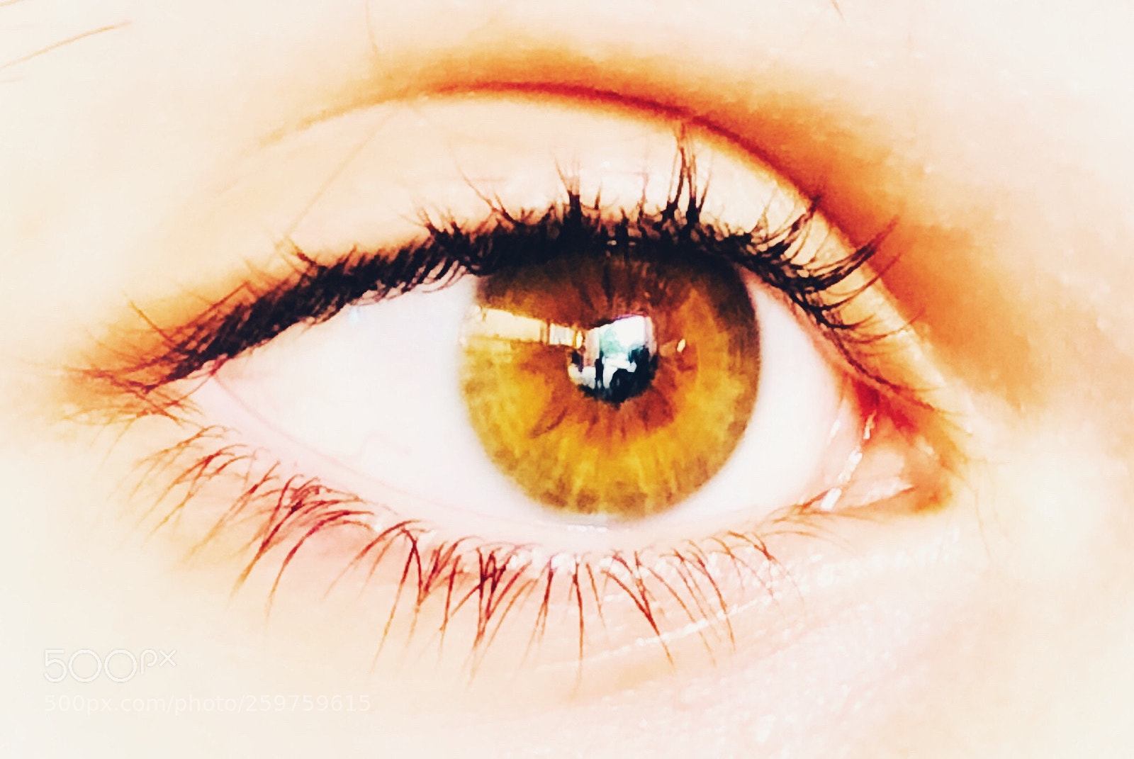 Apple iPhone X sample photo. Brown eyed  photography