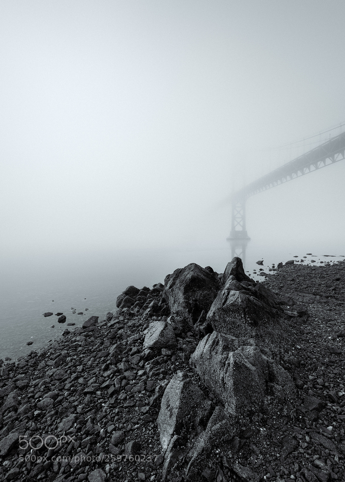 Nikon D810 sample photo. Hope on the rocks photography