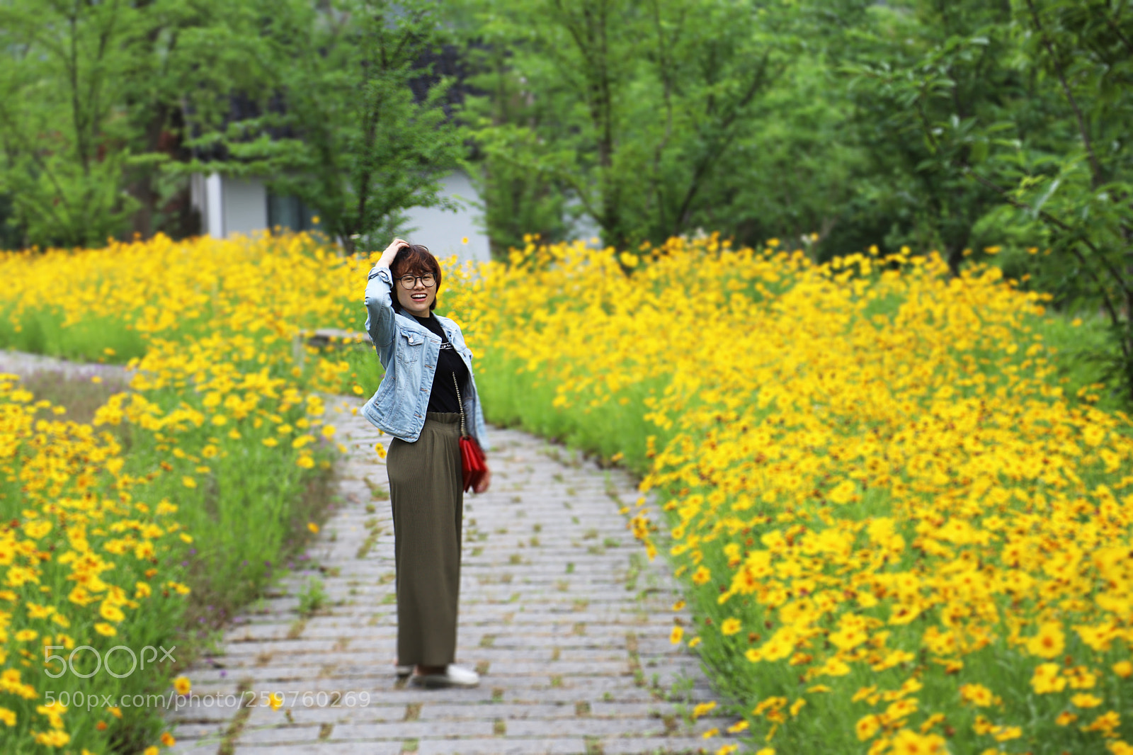 Canon EOS 6D Mark II sample photo. Untitled photography