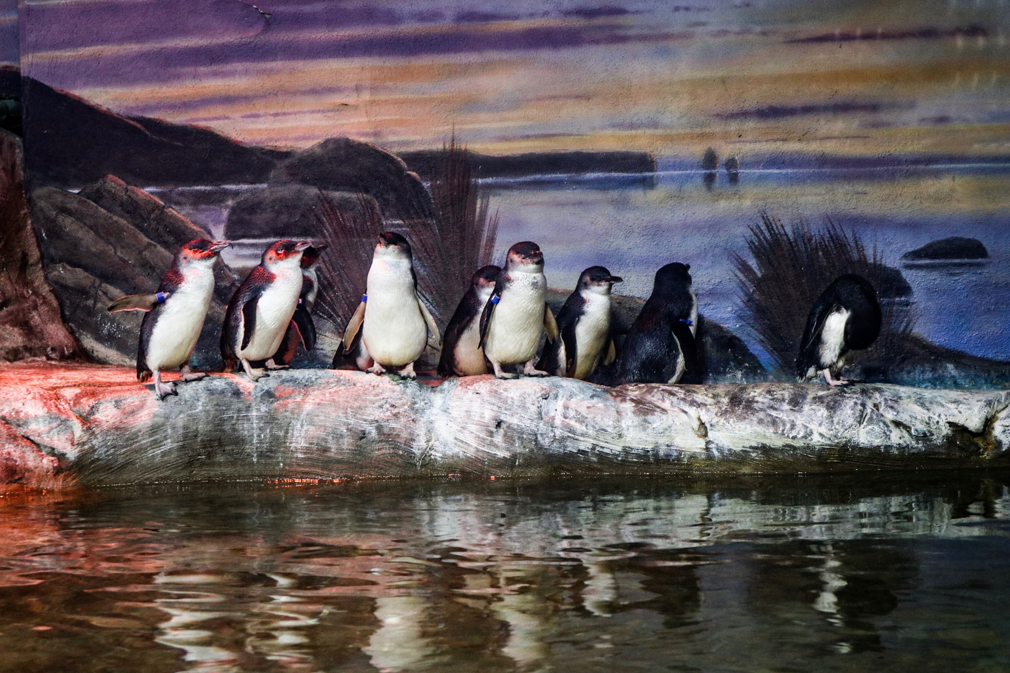 Canon EOS M100 sample photo. We don’t really “smile and wave” but keep watching photography