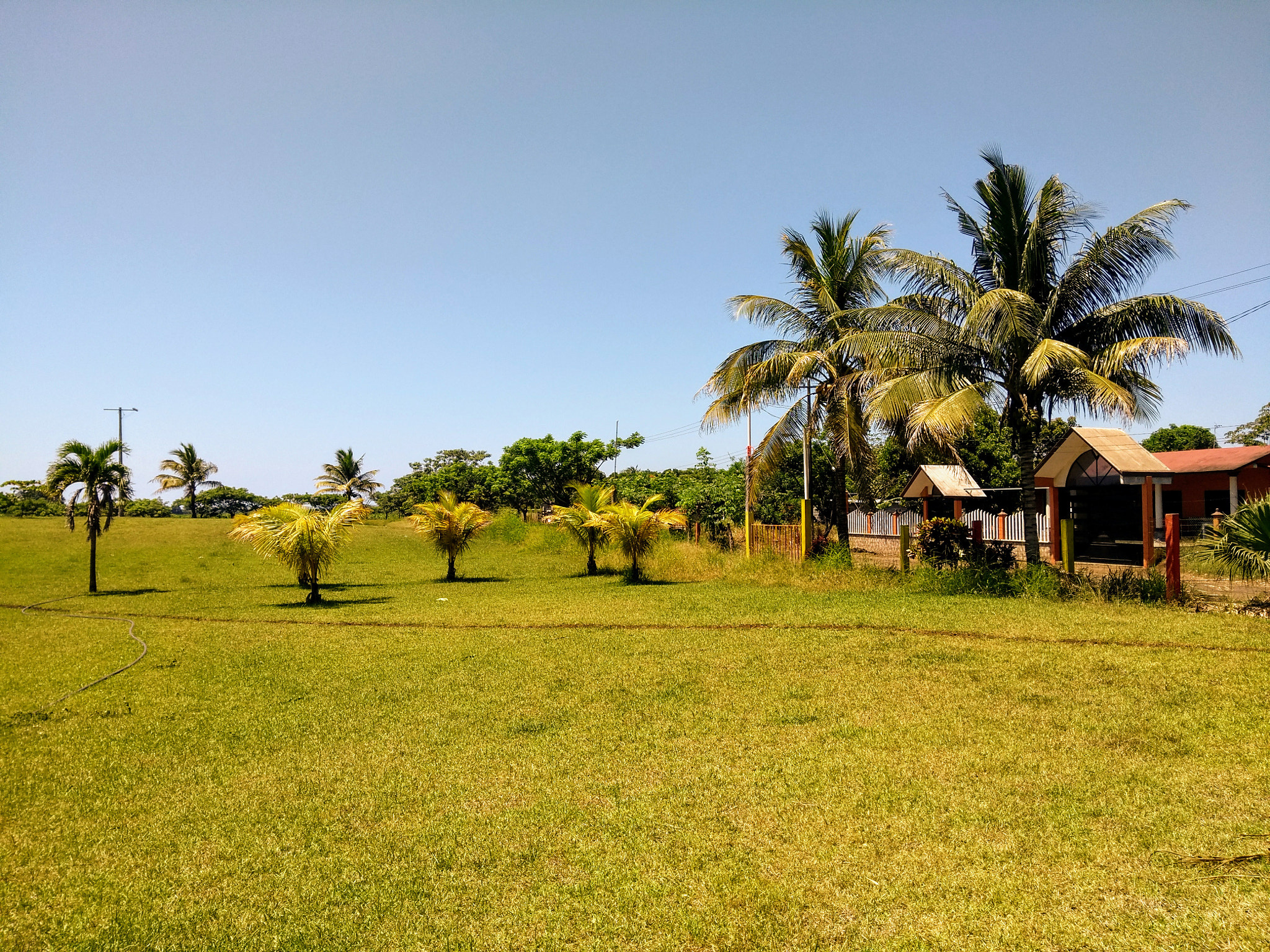 Motorola Moto G (5th Gen) sample photo