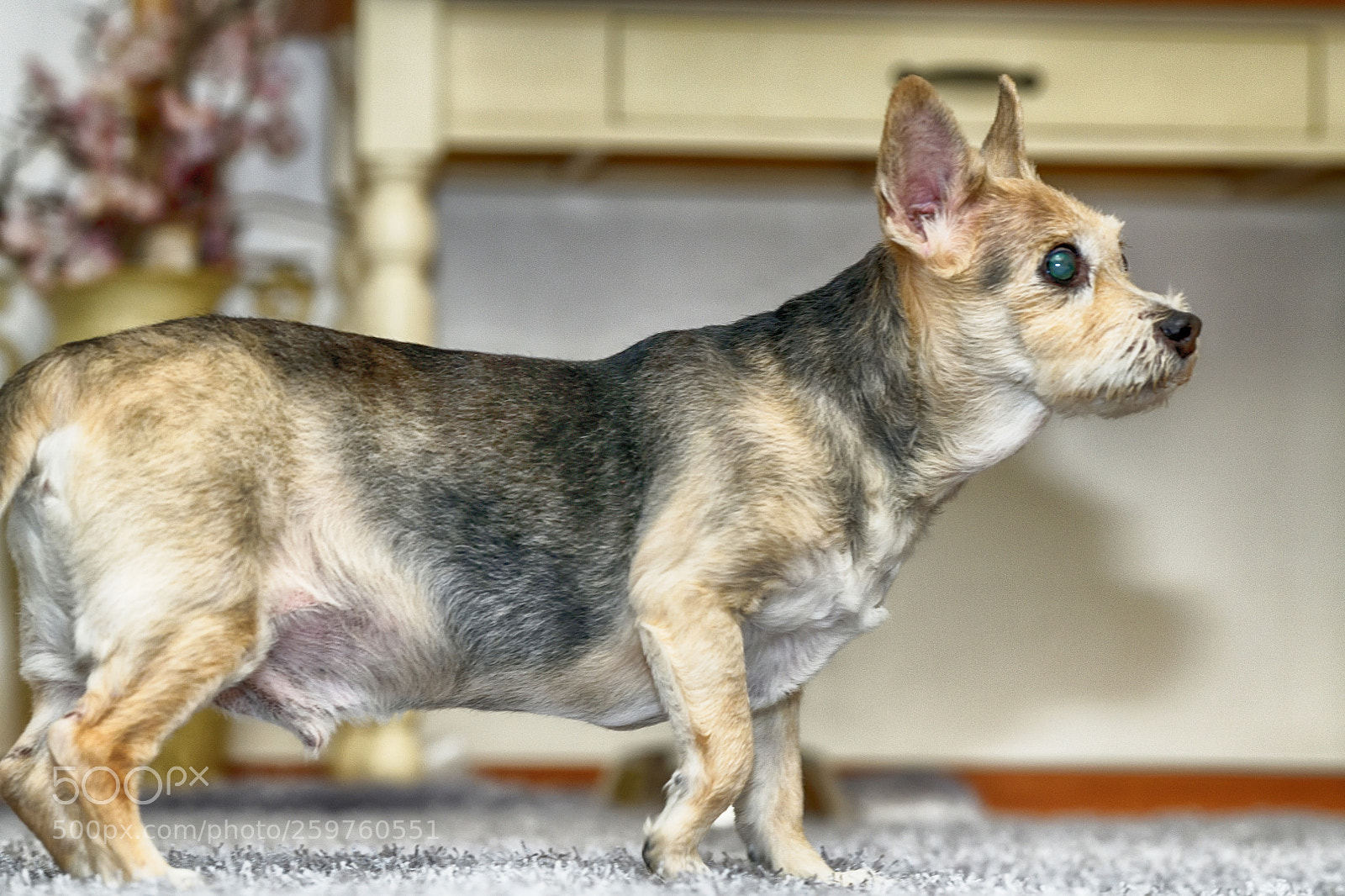 Nikon D850 sample photo. 850_2215_00001.jpg photography