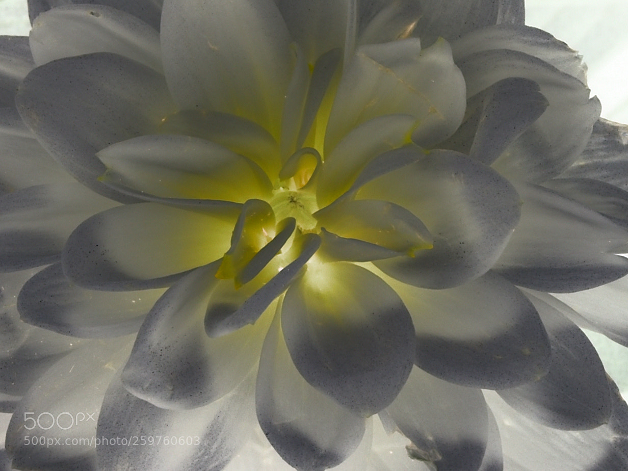 Nikon D850 sample photo. 850_2324_00001.jpg photography
