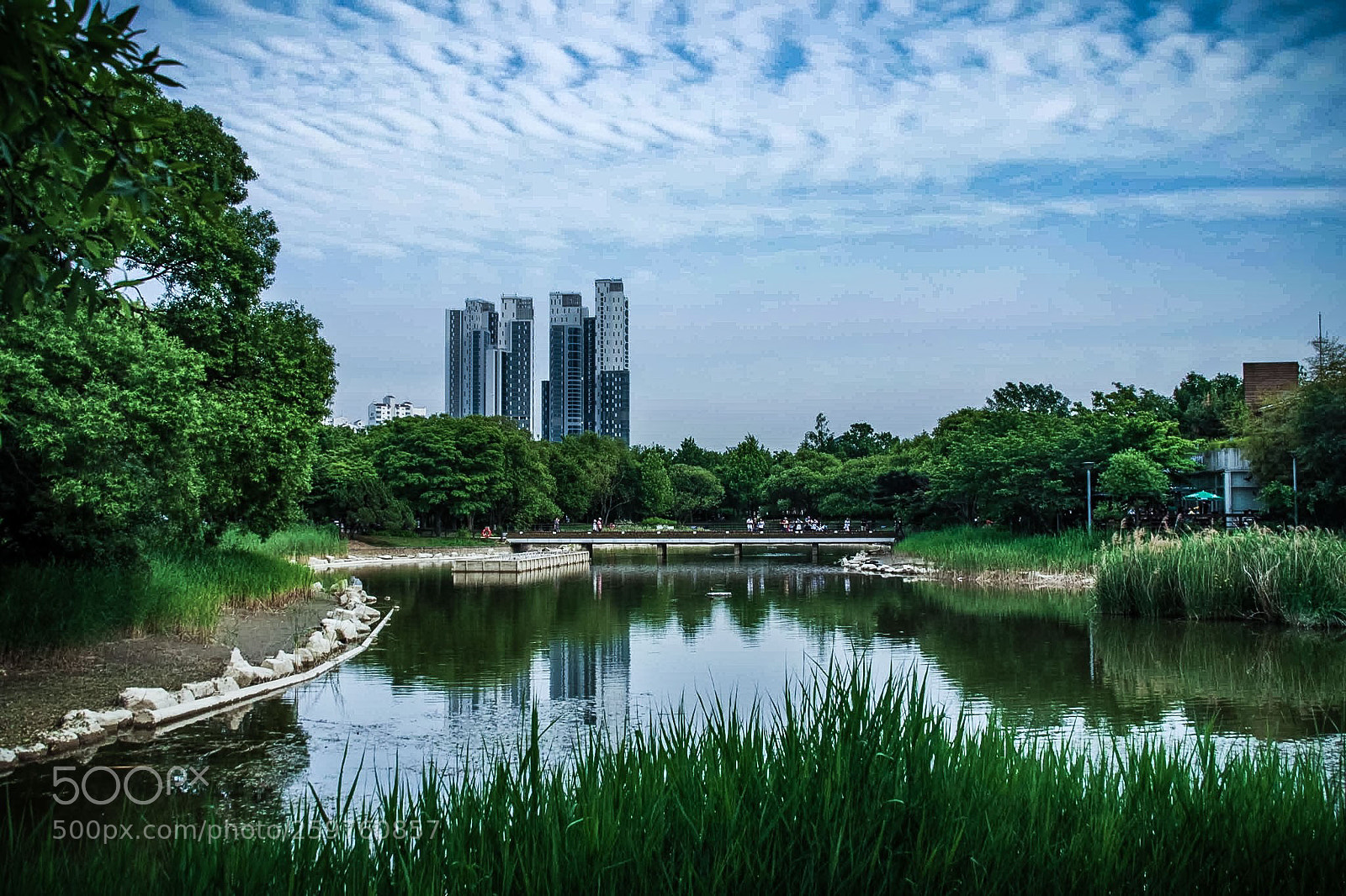 Pentax K-S2 sample photo. Seoul forest park photography