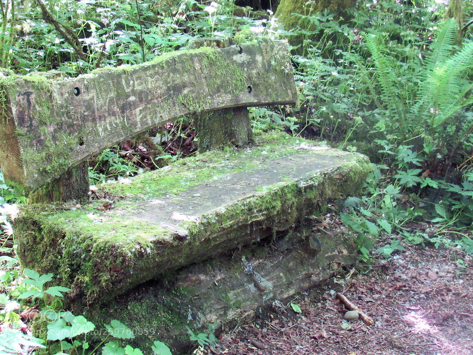 Canon PowerShot SX530 HS sample photo. Seat for the ancients photography