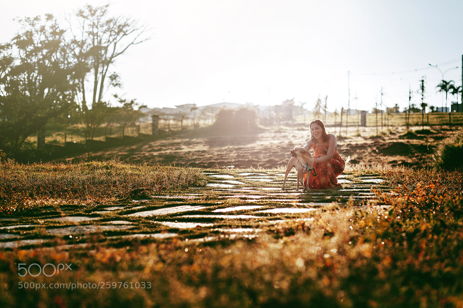 Canon EOS 6D sample photo. Untitled photography