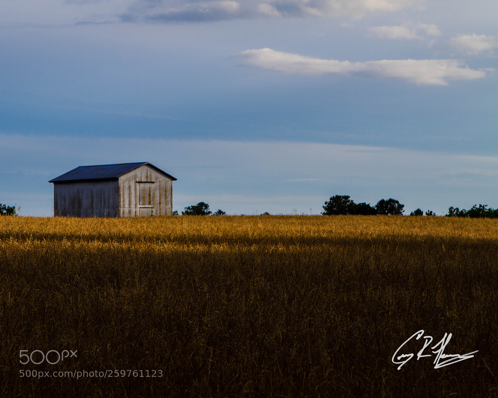 Canon EOS 7D sample photo. Untitled photography