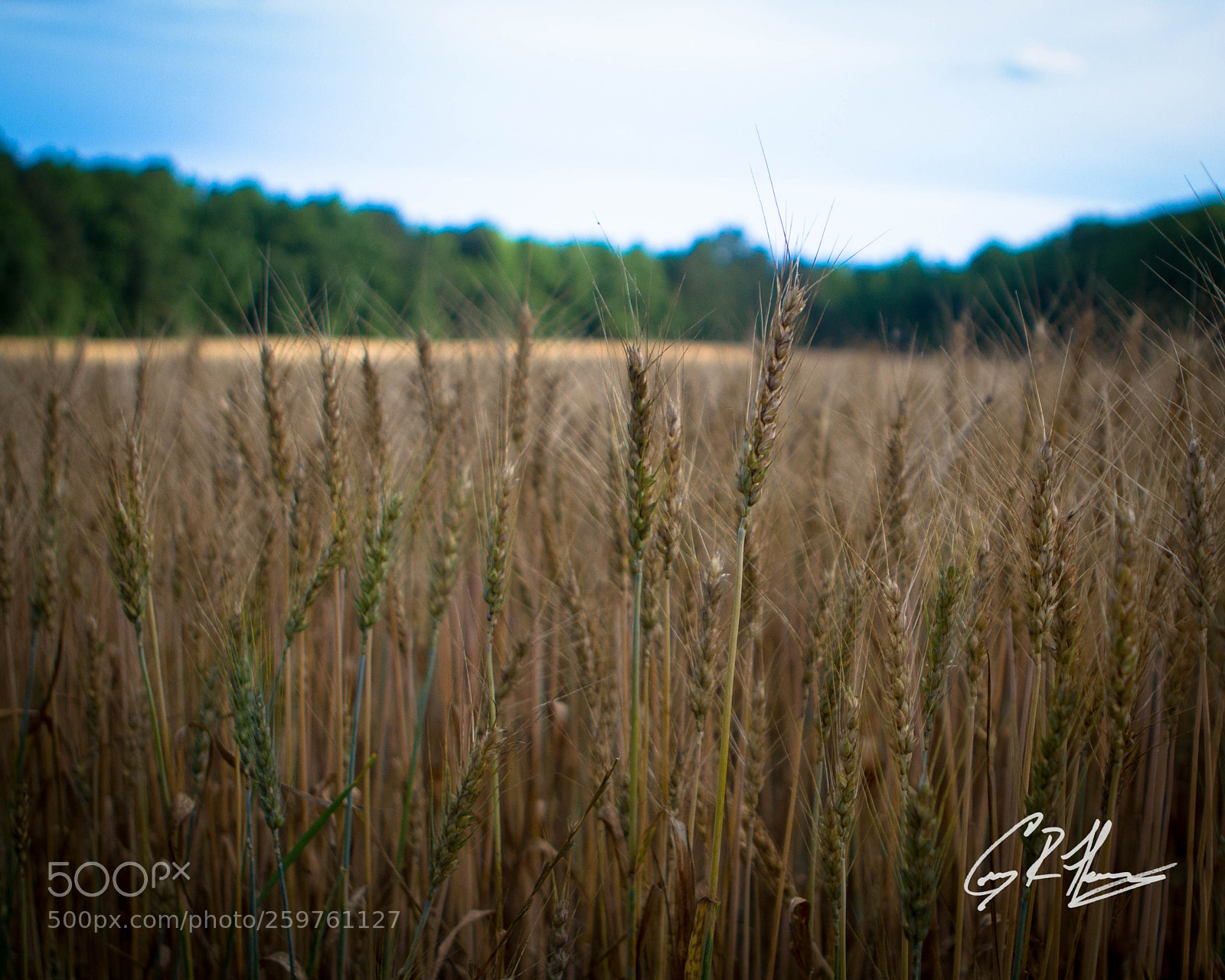Canon EOS 7D sample photo. Untitled photography