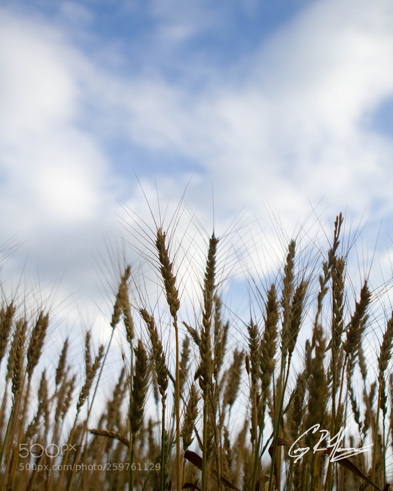 Canon EOS 7D sample photo. Untitled photography