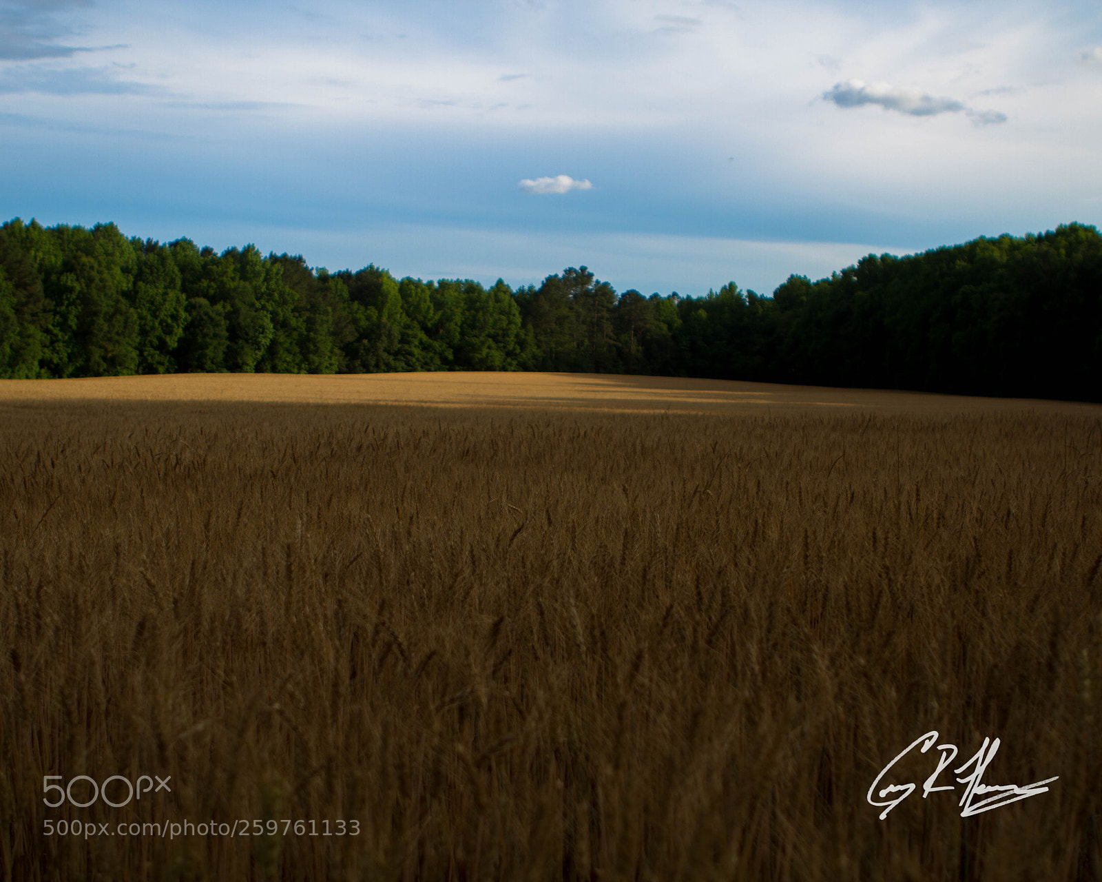 Canon EOS 7D sample photo. Untitled photography