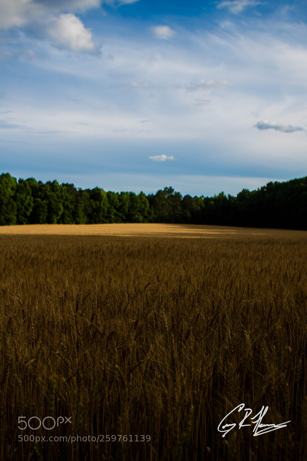 Canon EOS 7D sample photo. Untitled photography