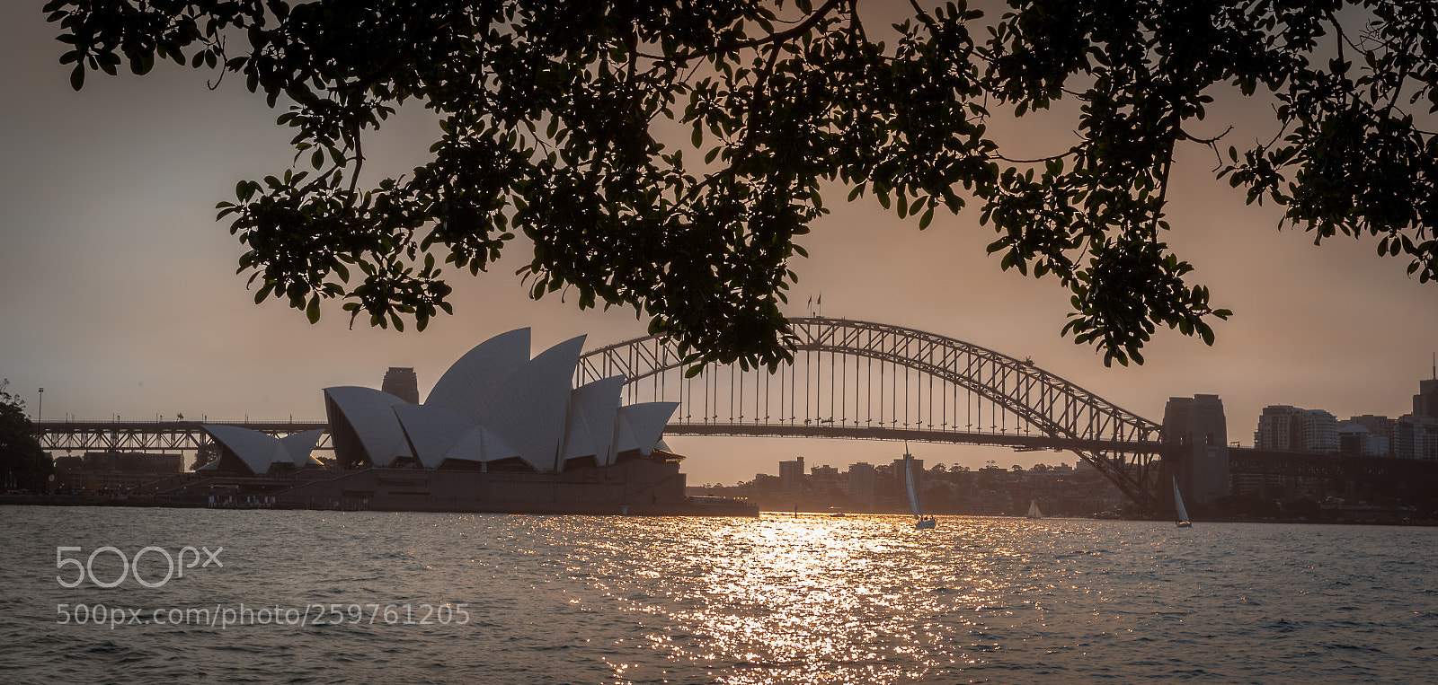 Canon EOS 6D sample photo. Sydney harbor photography