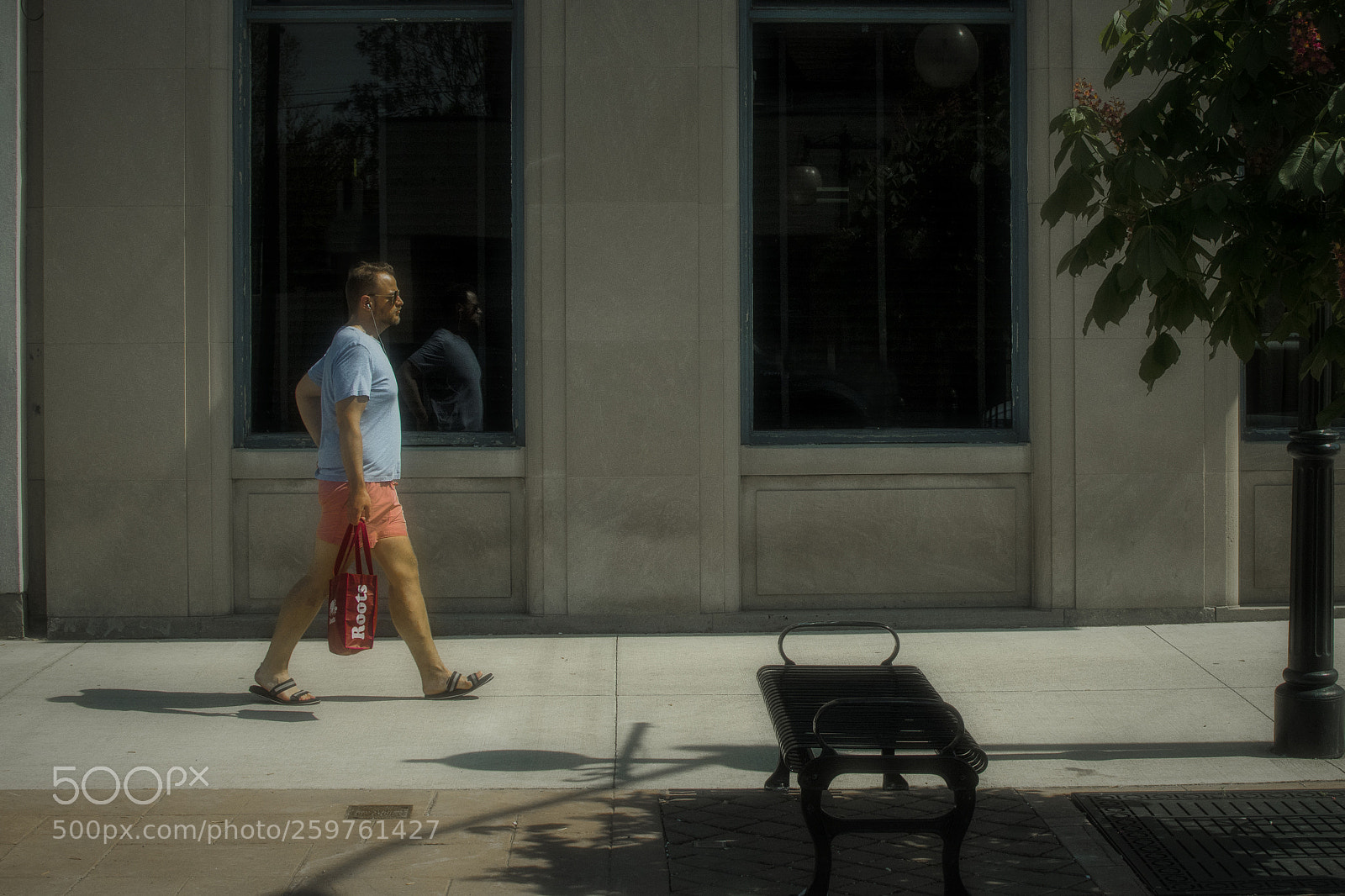Nikon D500 sample photo. Walking through . windsor photography